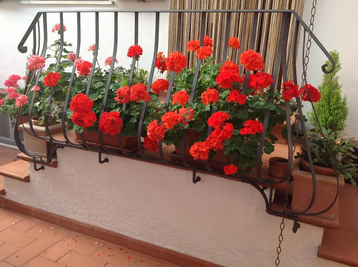 Appartamenti La Castagna Abbadia San Salvator Apartment